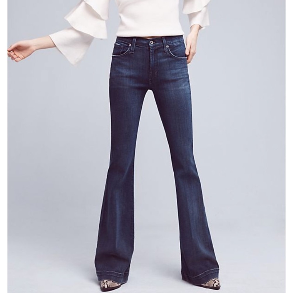 James jeans shayebel flare denim